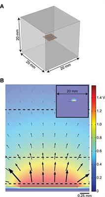 Modeling Current Sources for Neural Stimulation in COMSOL